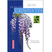 plantes grimpantes
